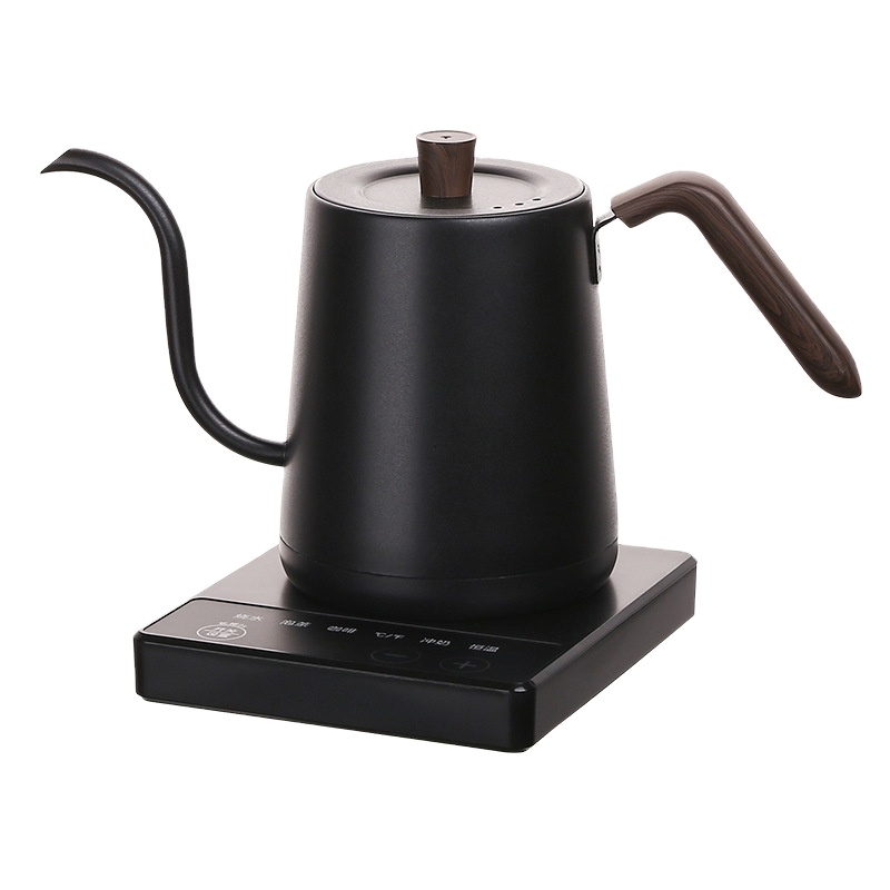 Bouilloire électrique à col de - Electric Kettle Temperature Control avis et prix